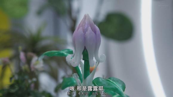 其实有很多人都在讨论会不会这朵花是一个伏笔,跟迪迦奥特曼的齐杰拉