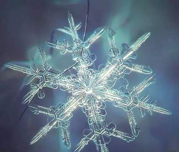 在此基础上,雪花的形状开始变化得千姿百态,然后就有了各式各样的