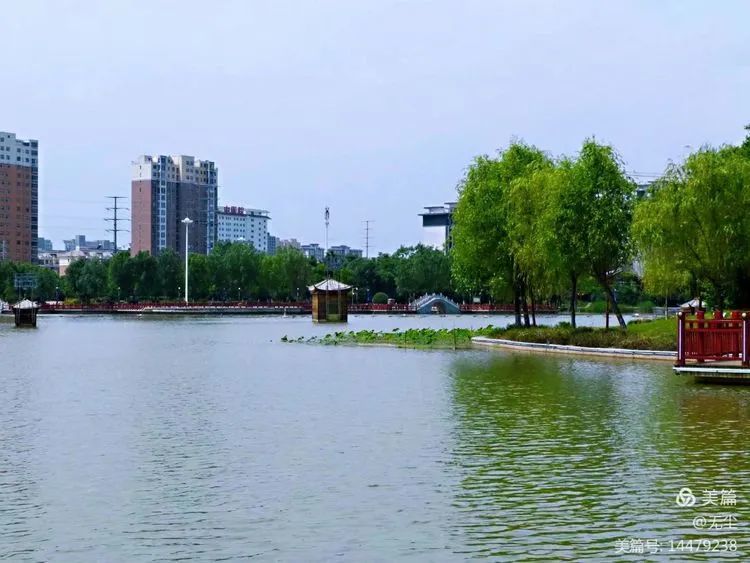 鹿邑之韵上清湖老子故里的西湖