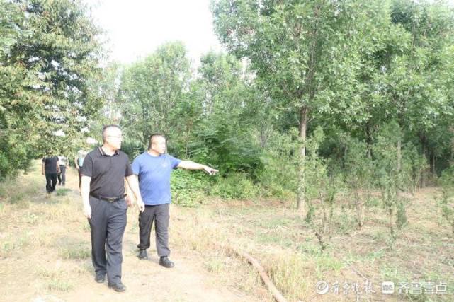 阳信县委副书记宋全星一行到流坡坞镇调研路域环境综合整治等工作