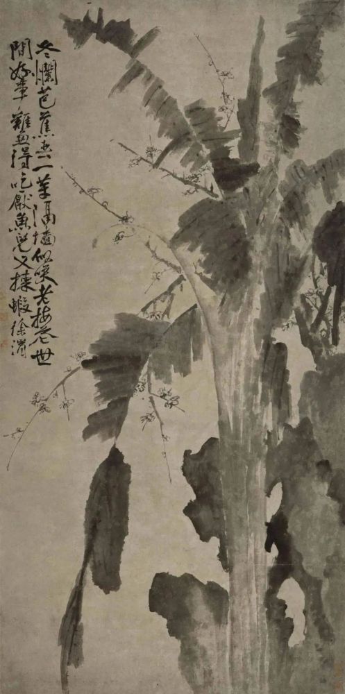 过去十年看的徐渭书画,不如这一天看的多