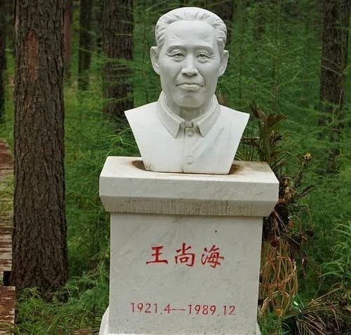 王尚海的墓第一任党委书记—那是塞罕坝林场林子里有一座墓碑塞罕坝