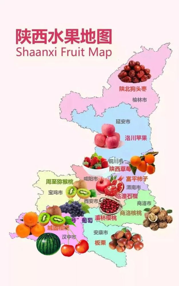 除了各地代表作,陕西各城市水果分布地图不妨看看