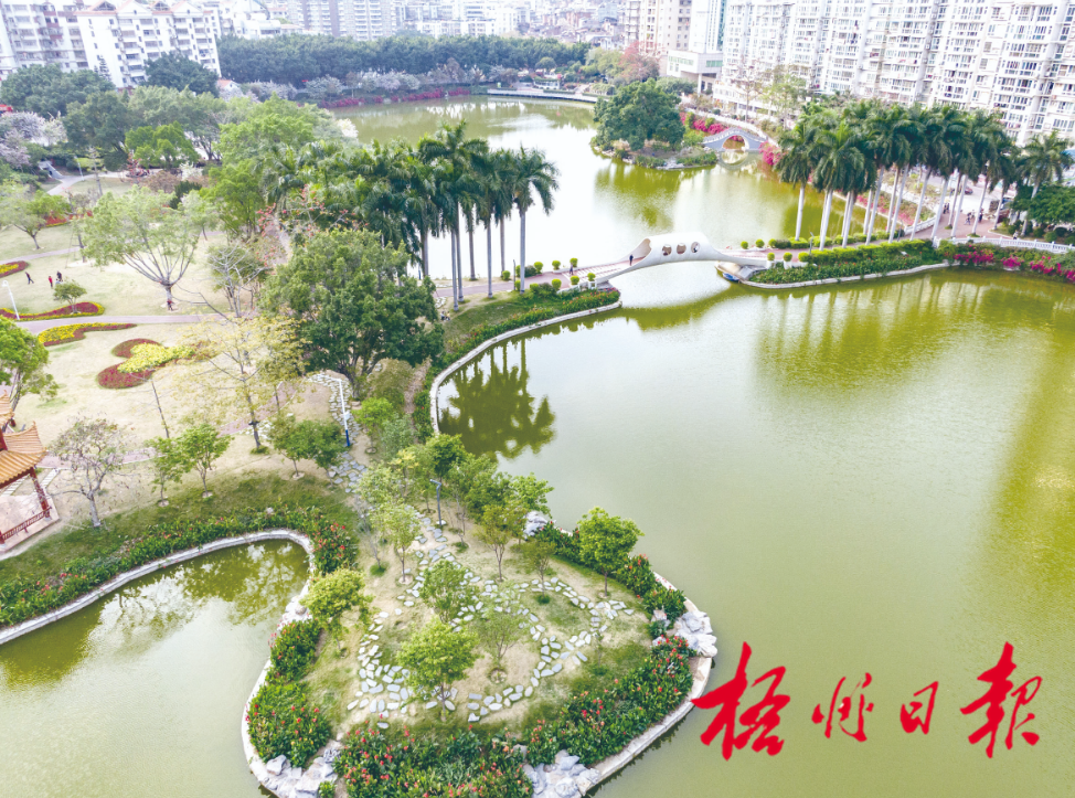 梧州发展这五年城市变美了幸福感满满