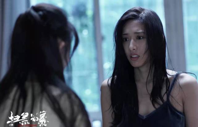 扫黑风暴中的剧抛脸认出了刘奕君认出了吴晓亮却没认出付美
