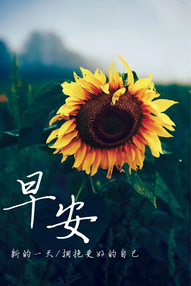 2021年8月25日(星期三)早安