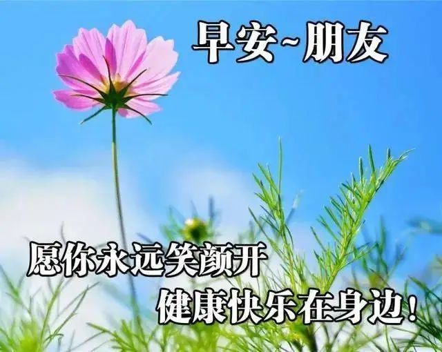 最漂亮早上好动态表情图片大全,早晨好动图美图大全
