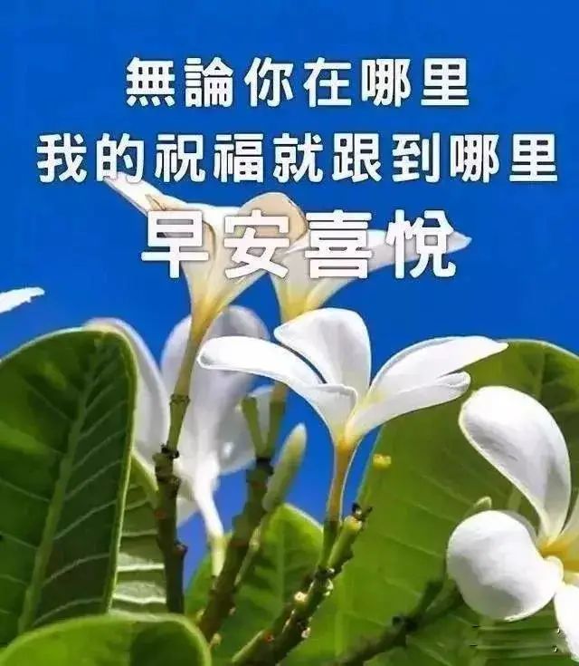 清早最新版早上好漂亮表情祝福图片,平安祝福早上好问候祝福语