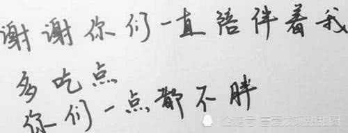 赵丽颖书法,秀气高雅,潇洒自若,网友:写得太漂亮了,没