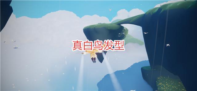 光遇:飞翔季两个版本先祖对比,燕尾服被优化,毕业发型
