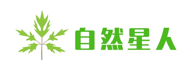 【槐树上那些"吊死鬼儿"长大后的样子】北京·奥森科普日记:槐尺蛾