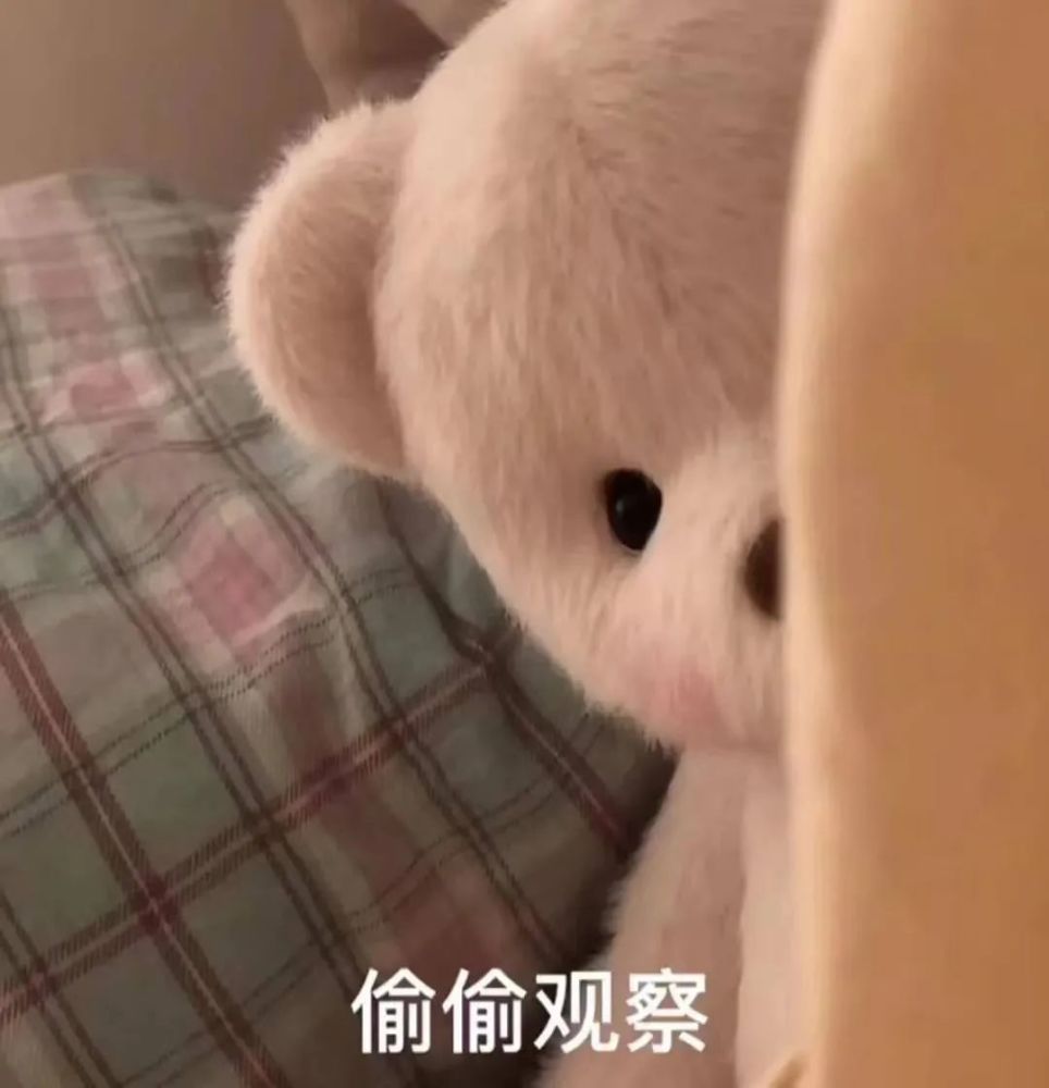 表情包丨拎起来丢垃圾桶