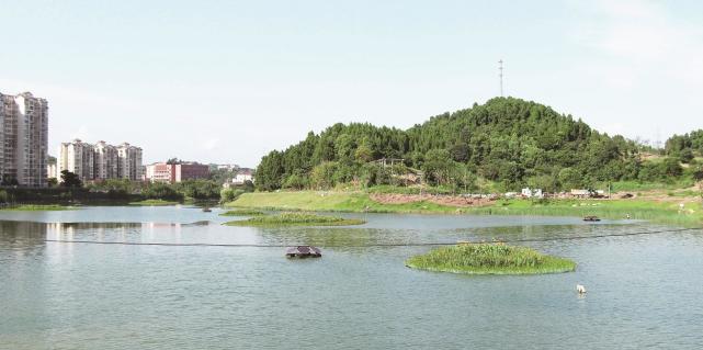 三峡晚报全媒记者何凡通讯员叶声 细雨蒙蒙中,站在宜昌市夜明珠的沙河