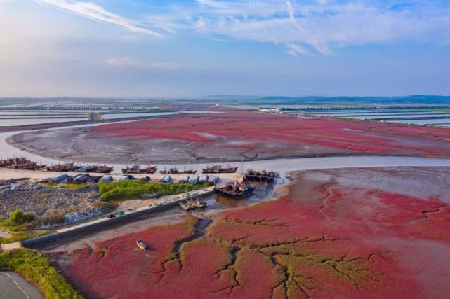 最美山水大连:庄河处处红海滩