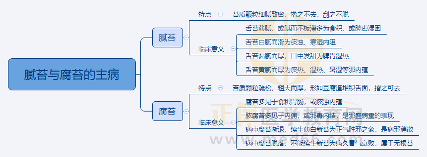 全国2021年中医执业医师精选思维导图《中医诊断学》