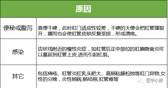 慢性肛裂|肛裂|肛门|肛管|菊花|急性肛裂