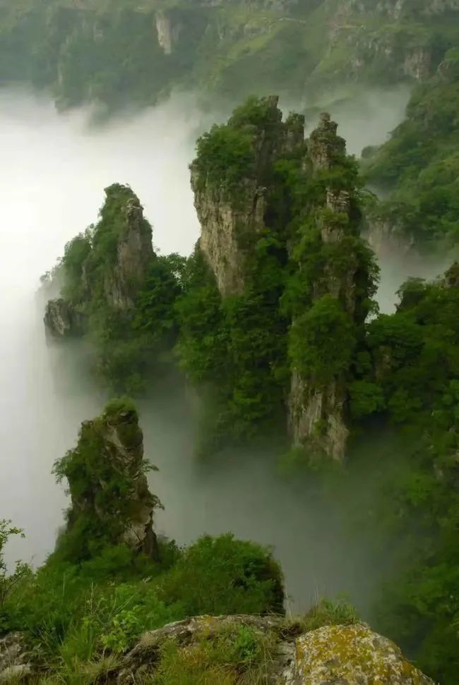 山西晋城陵川县王莽岭景区出现云海景观,美不胜收啊