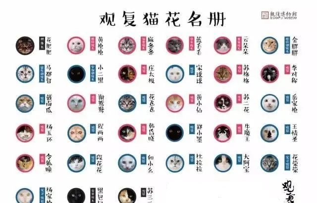 "马未都先生在《观复猫》中说,"说起来人也是这样,底子得打好,否则