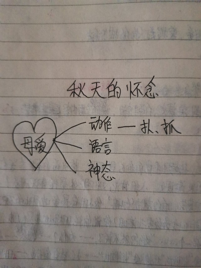 教师资格证面试真题《秋天的怀念》的原创教案分享