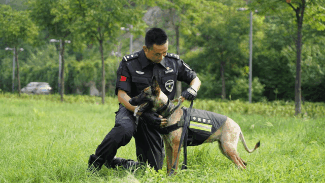 【警察故事】漳州市公安局警犬队"神犬奇兵"非一日养成