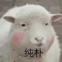 表情包::表情包图片大全抖音1022期
