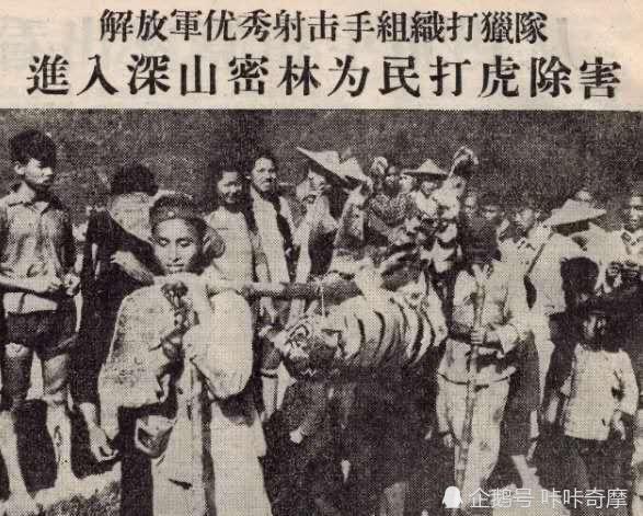 解放军加入打虎队除虎1956年,八一电影制片厂还到福建永春拍摄了纪录