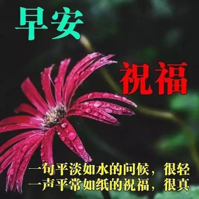 早上好问候表情图片带字带祝福语,早安祝福语短信大全