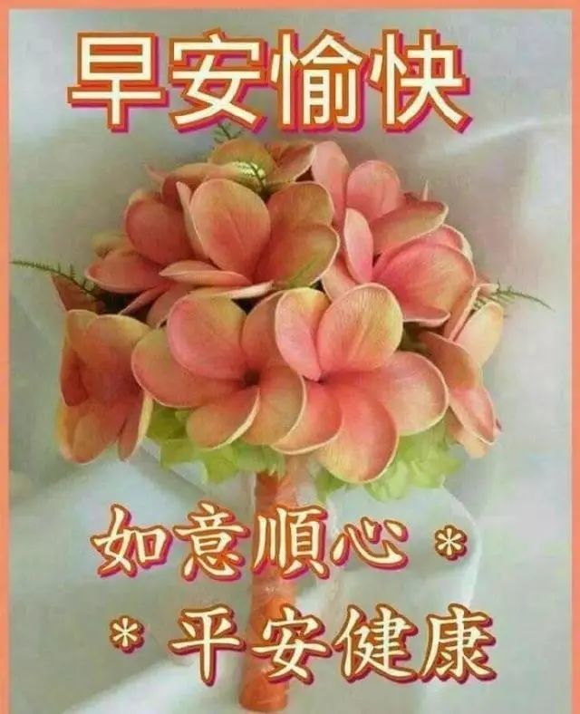 早上好朋友,最新早上好鲜花唯美动态祝福图片,微信语