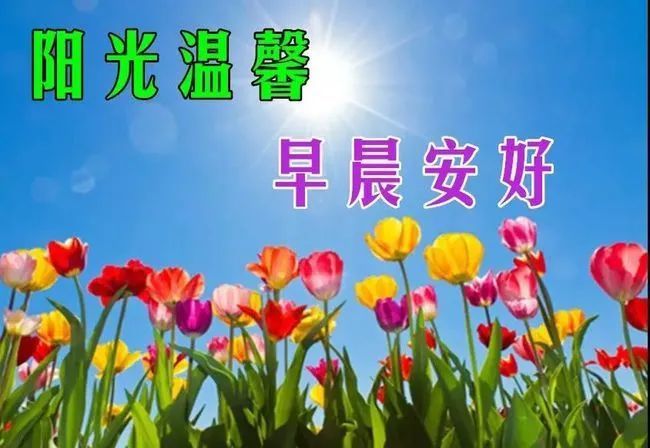 早上好朋友,早上好温馨祝福词句摘抄,早安祝福图片大全