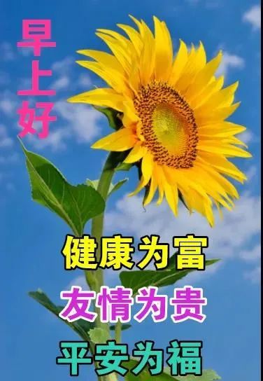 8张秋日最新特漂亮早上好鲜花动画图片带祝福语 2021最美秋日早安问候