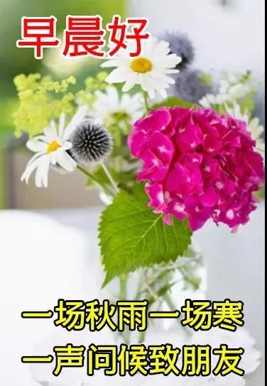 8张秋日最新特漂亮早上好鲜花动画图片带祝福语 2021最美秋日早安问候