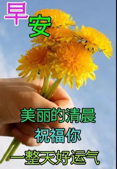 8张秋日最新特漂亮早上好鲜花动画图片带祝福语 2021最美秋日早安问候