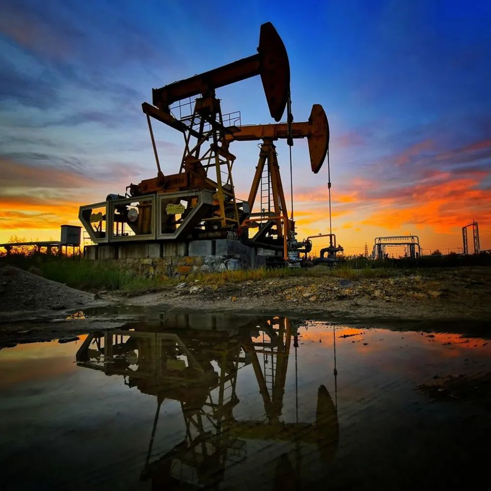 盘锦油田矿区拍摄芦苇荡里的高密度采油机和油田的井区