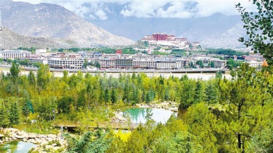 图为市民在南山公园登高.