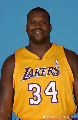 nba史上十大中锋排名,奥尼尔未进前三
