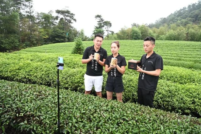 武夷山筑梦前兰生态茶叶农民专业合作社直播团队成员叶茂超在茶园翻土