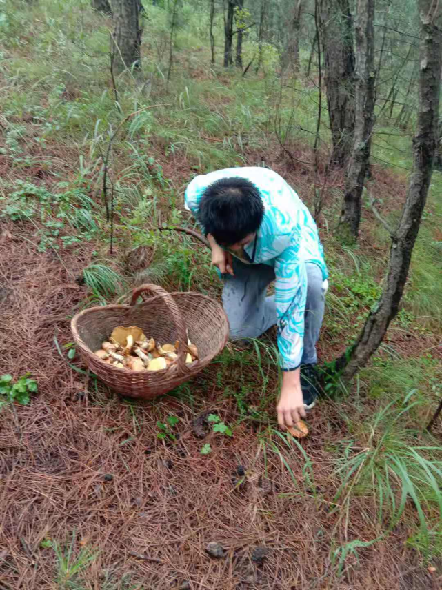 柴奇志之黑里河采蘑菇