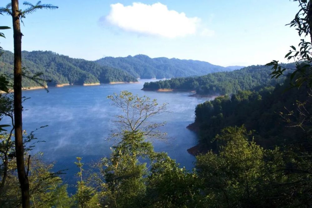 株树桥水库又名"浏阳湖",截浏阳河主要支流小溪河形成.