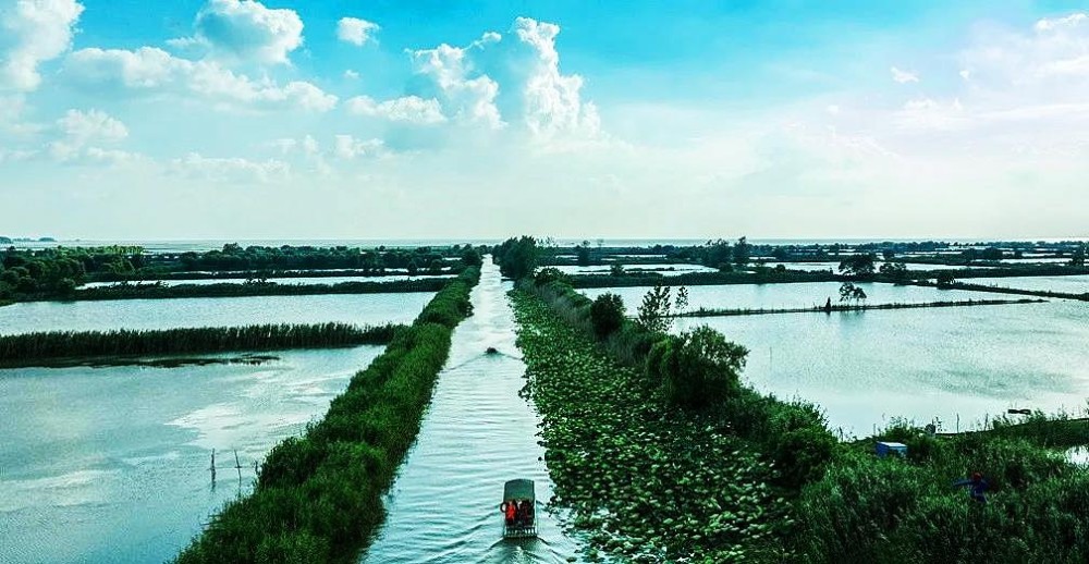 美丽江苏·每日一景丨洪泽湖西顺河湿地:湖畔水乡 秋色初显