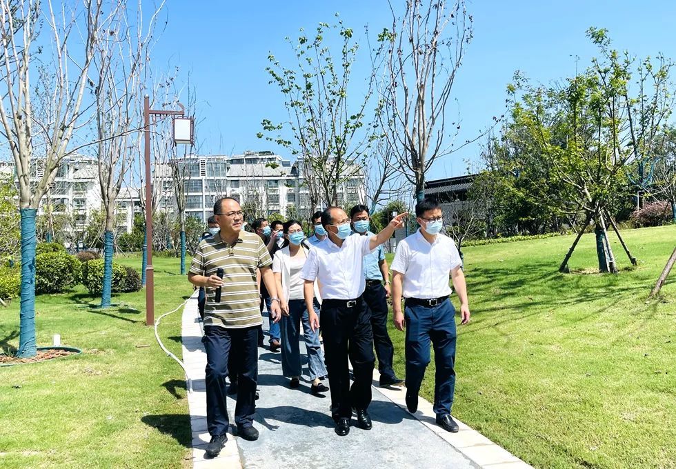 张辉专题调研中心城市重点工程和为民办实事项目