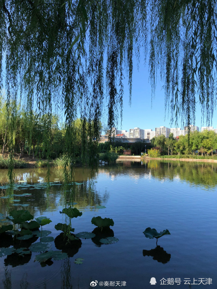 南翠屏公园位于天津市南开区境内,市区西南部,坐落在红旗南路与宾水