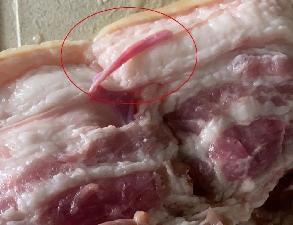 网友爆料|买的猪肉发现肉眼可见的"寄生虫"!这还能吃吗?