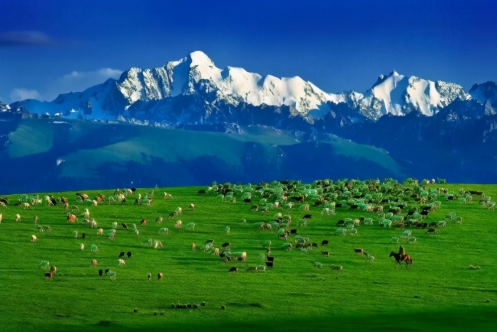 中国十大最美牧场天山牧场上榜第一是南方仅有的高山牧场