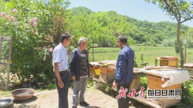 【外媒看华亭】华亭市安口镇胡家窑村致富有"蜜方"