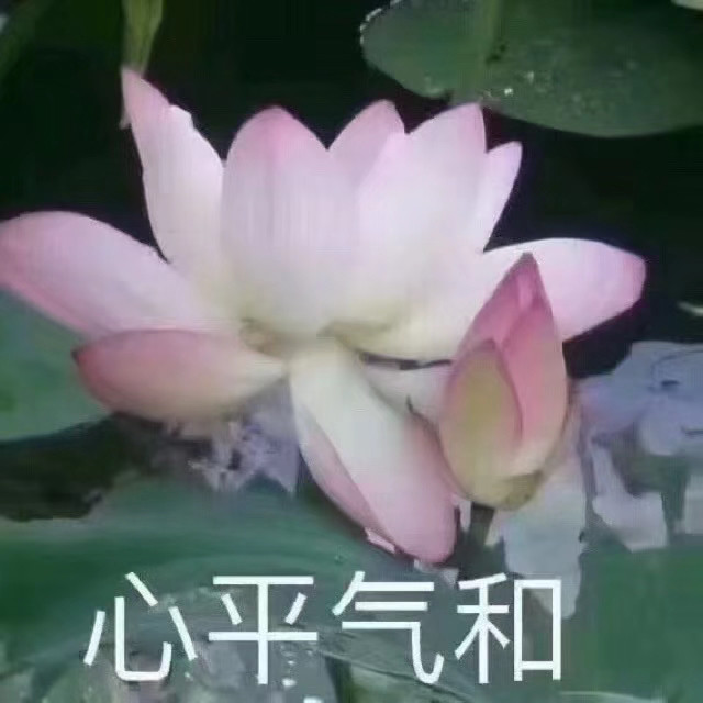 心平气和表情包