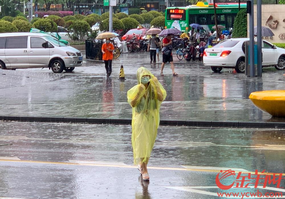 8月25日午后广州突发降雨,无伞市民用手挡雨冒雨出行