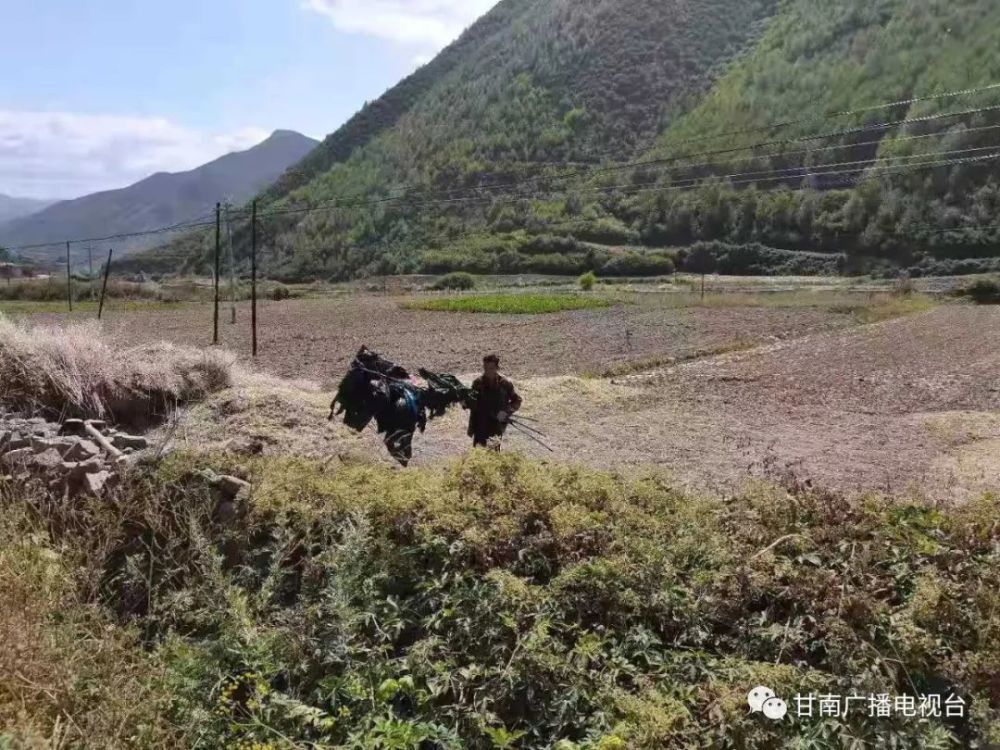 手机尾号9392的热心观众发来图片,近日,临潭县石门乡梁家坡村,组织