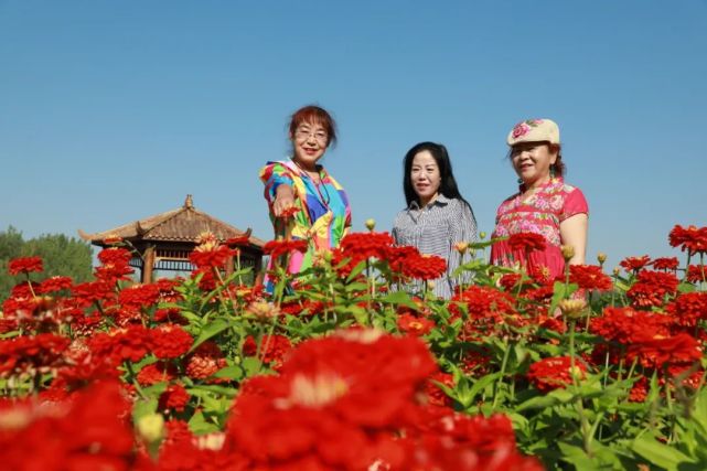 位于110国道毫沁营大桥南侧; 南湖湿地花海,位于南湖湿地公园内;百合