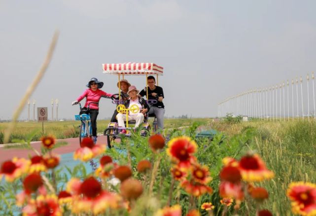 位于110国道毫沁营大桥南侧; 南湖湿地花海,位于南湖湿地公园内;百合