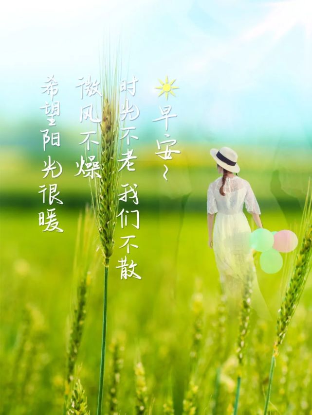 8月31日早安心语正能量刻骨语录句子 美好的一天图片带字正能量励志